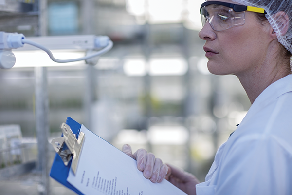 image of food safety inspector